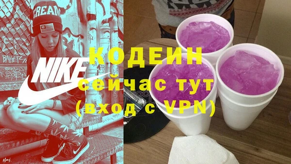 гашик Алексин