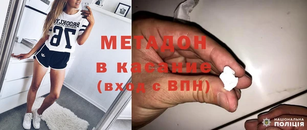 гашик Алексин