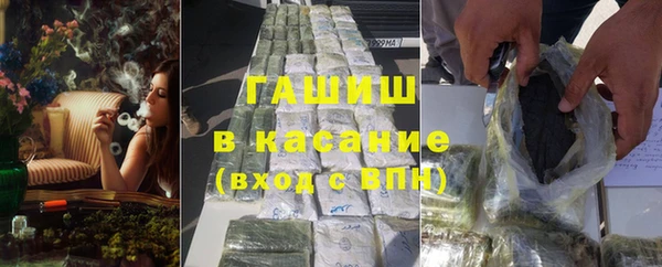 гашик Алексин