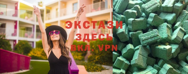 гашик Алексин