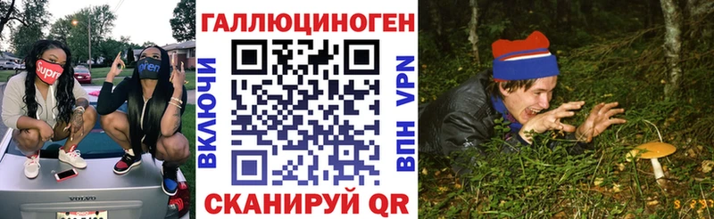 дарнет шоп  Зуевка  Псилоцибиновые грибы мицелий 